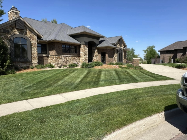 498324750 1123539963124634 7350373846442979834 n 768x576