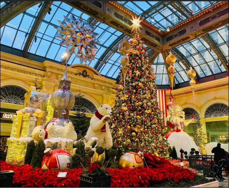 523948527 1183275417151088 3843097391597206488 n 768x629