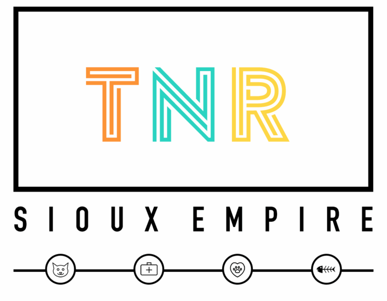 TNR VIII cropped 768x597